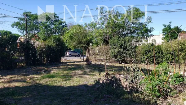Lote en Alsina 1200