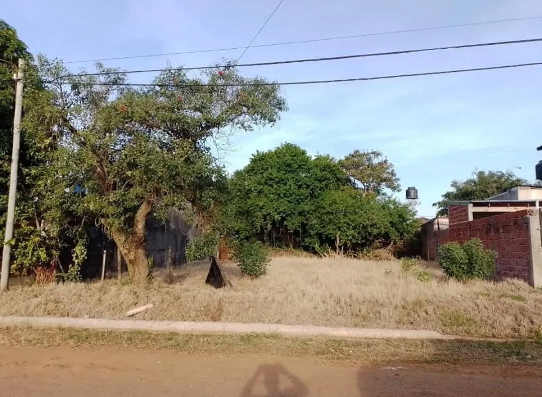 Lote en Almeida
