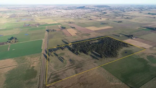 Campo en COLONIA BALCARCE