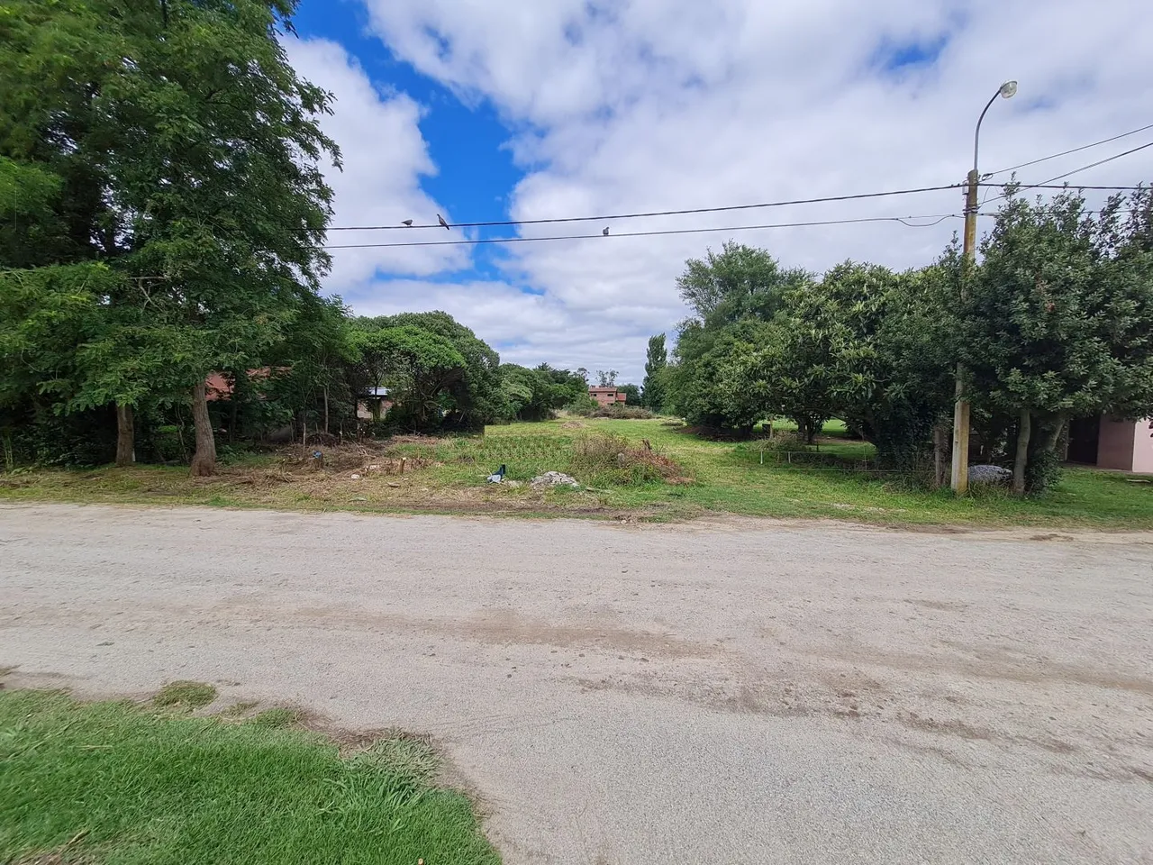 Lote en 59 - TERRENOS