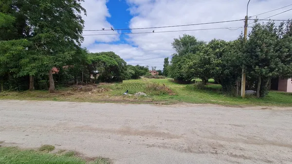Lote en 59 - TERRENOS