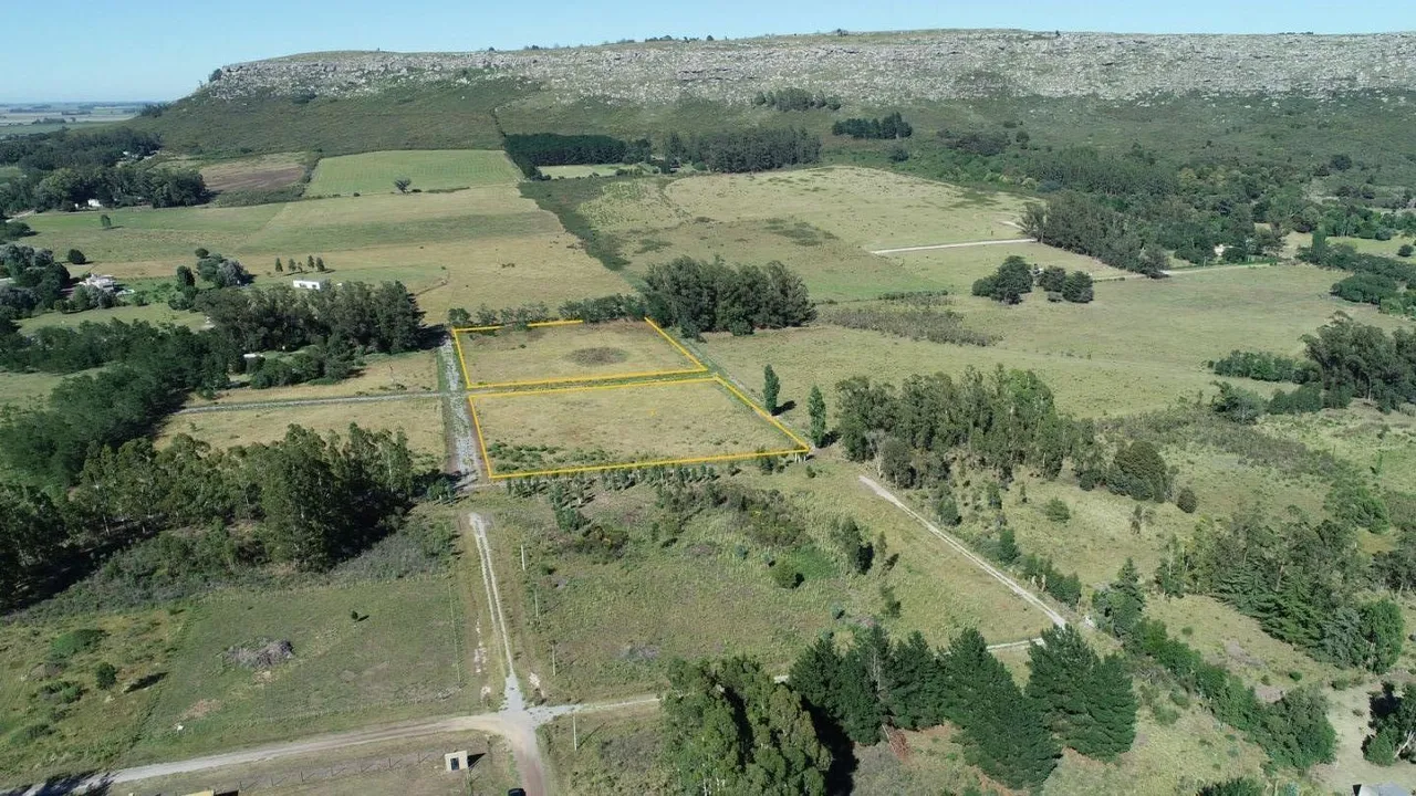 Lote en 55 (lote n°4)