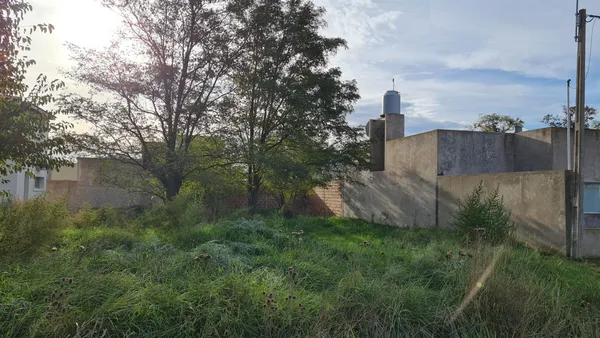 Lote en 48