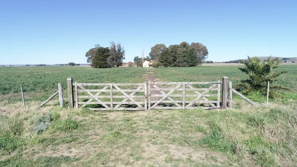 Campo en LOS PINOS - CAMP