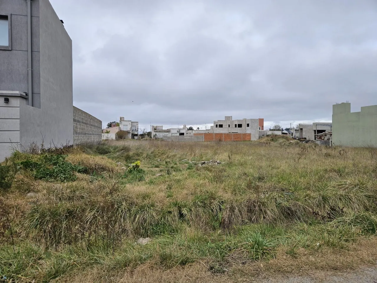 Lote en 52