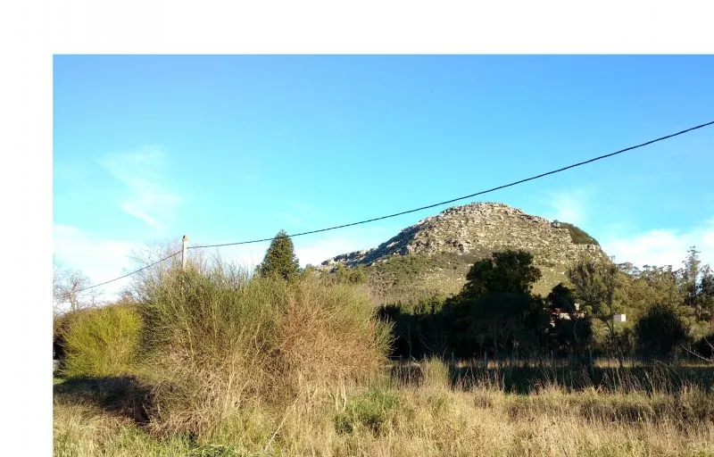 Lote en 51