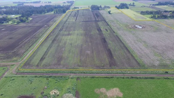 Campo en Ruta 55 - Curva