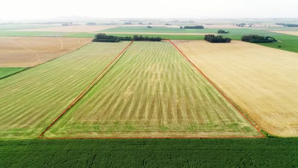 Campo en LOS CARDOS - CAM