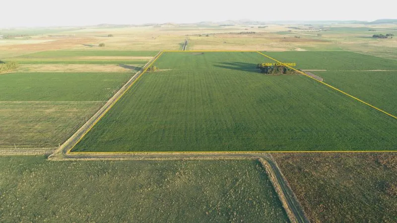 Campo en DOS NACIONES - C