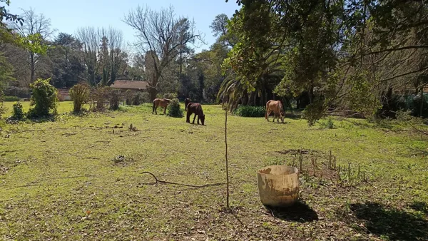 Lote en del RECADO 3700