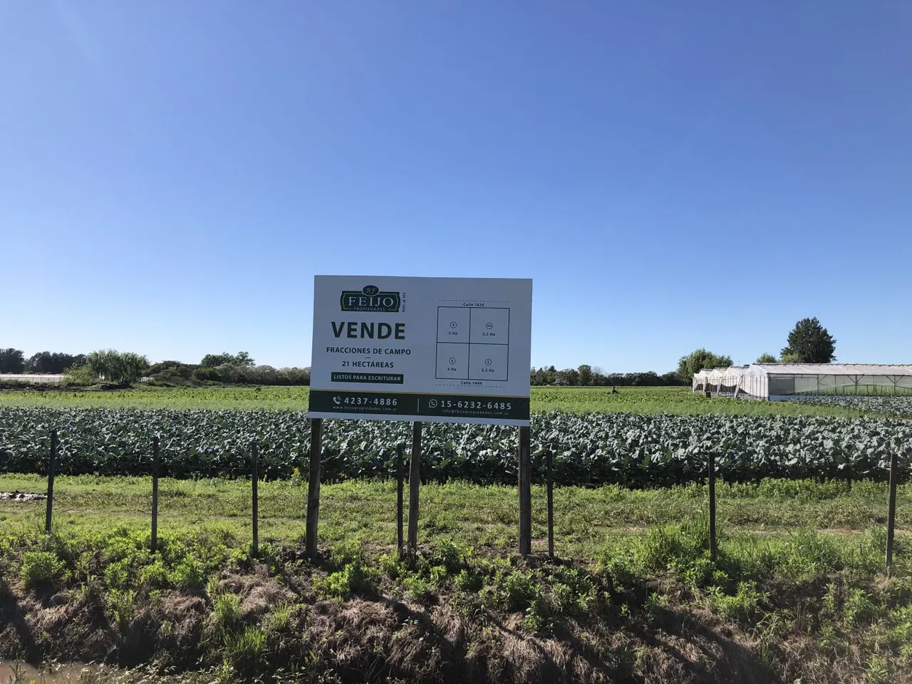 Campo en Colonia la Capil 1600