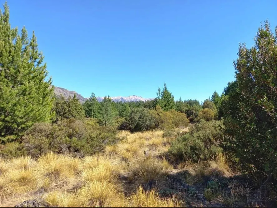 Lote en Río Negro