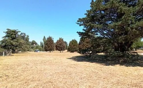 Lote en Avenida de Buen