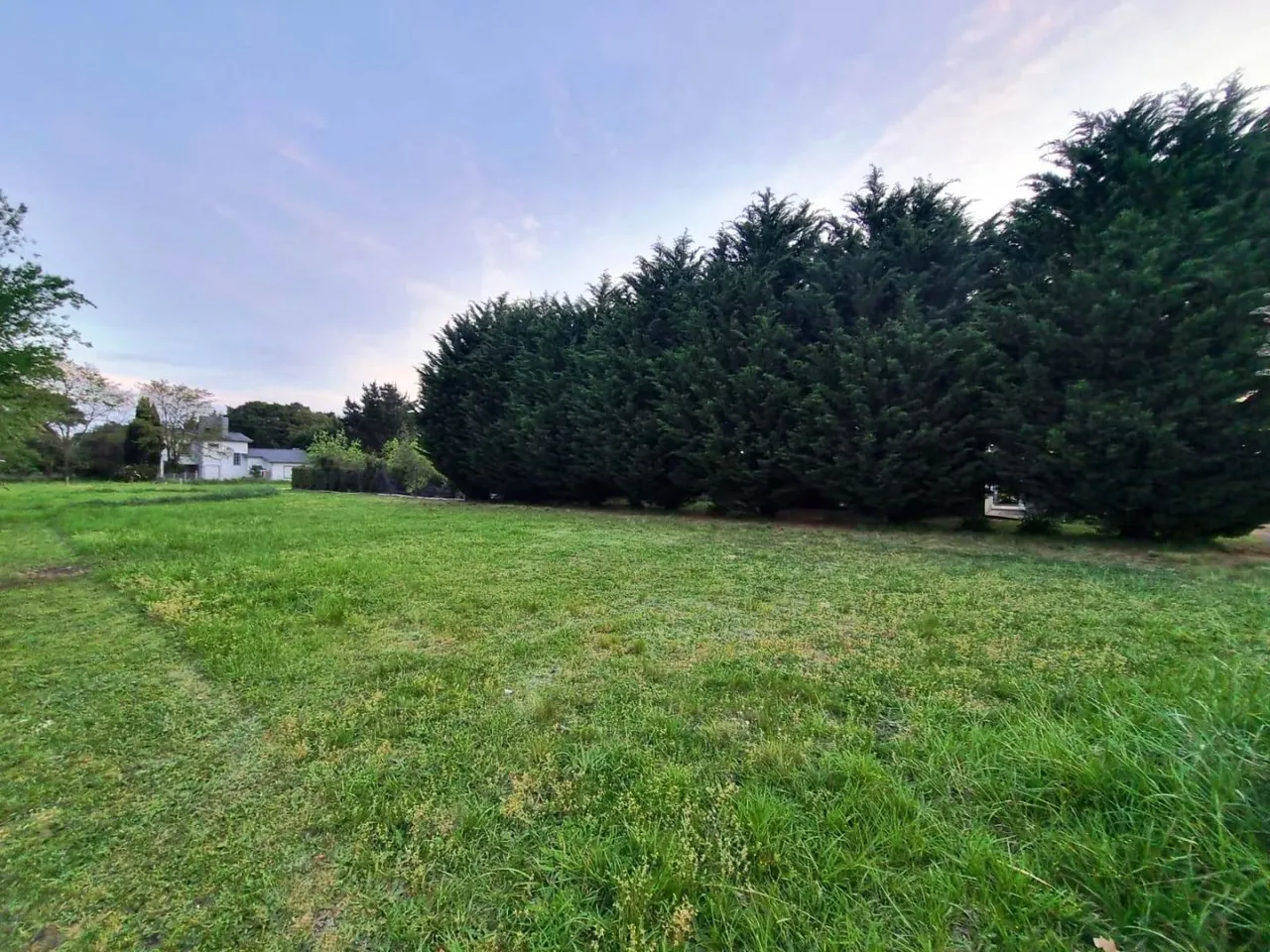 Lote en Paseo del Talar 100