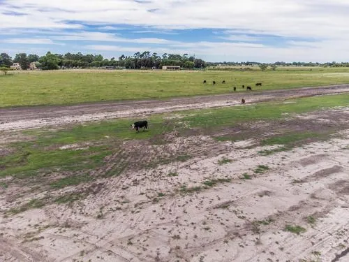 Lote en General Madariag 300