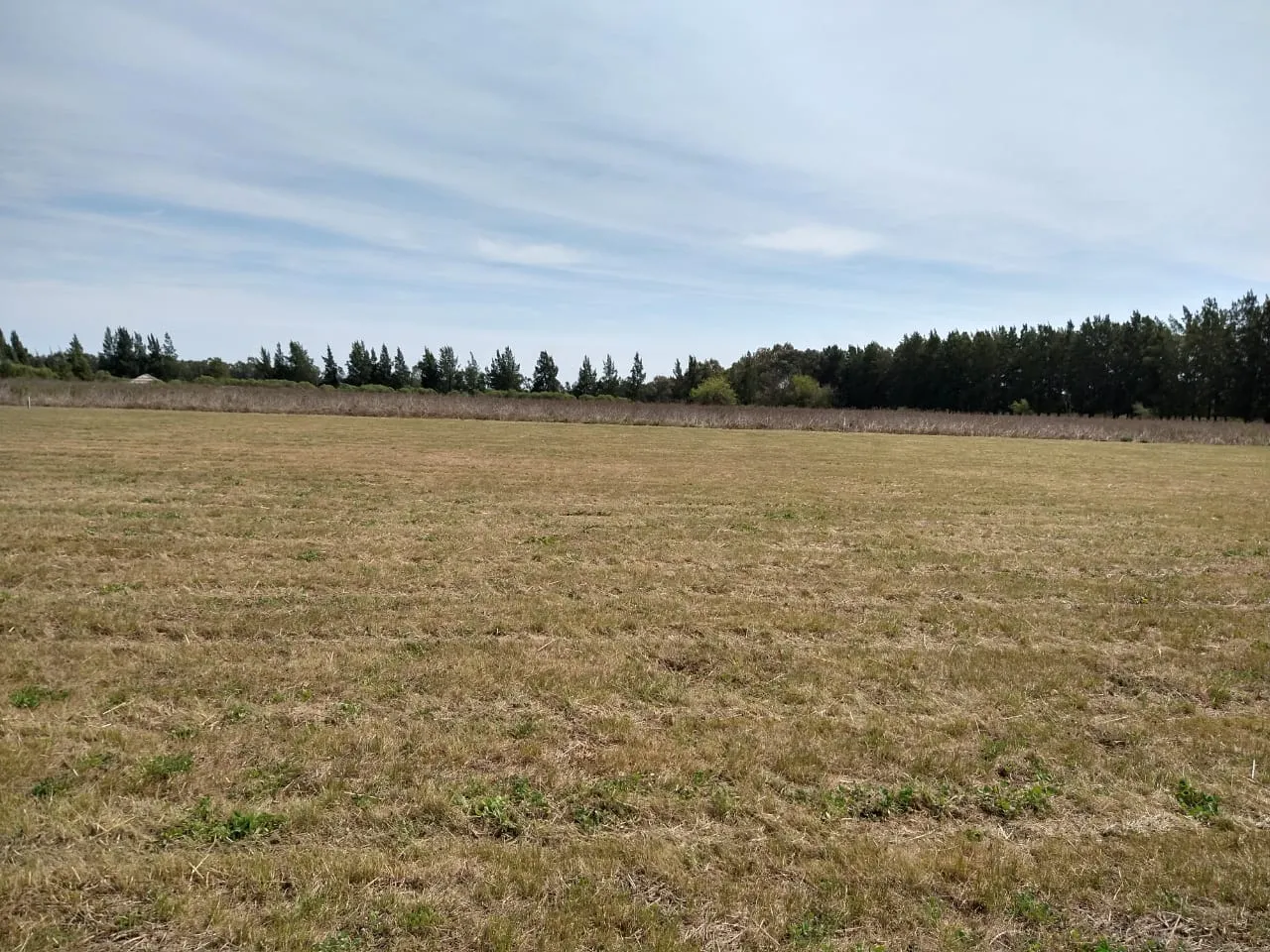 Lote en Ruta 4 Cardales 100