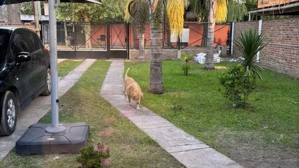Casa en cordoba 100