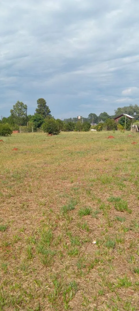 Lote en