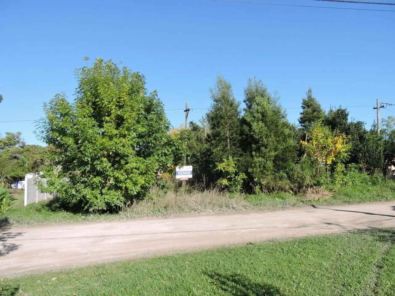 Lote en 22 e/ 41 y 43