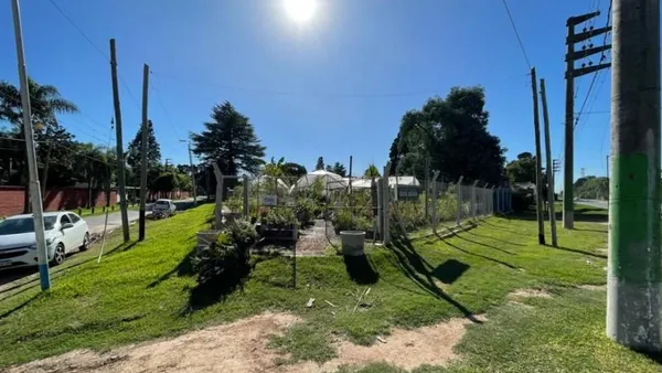 Lote en Alberti y Ruta 8