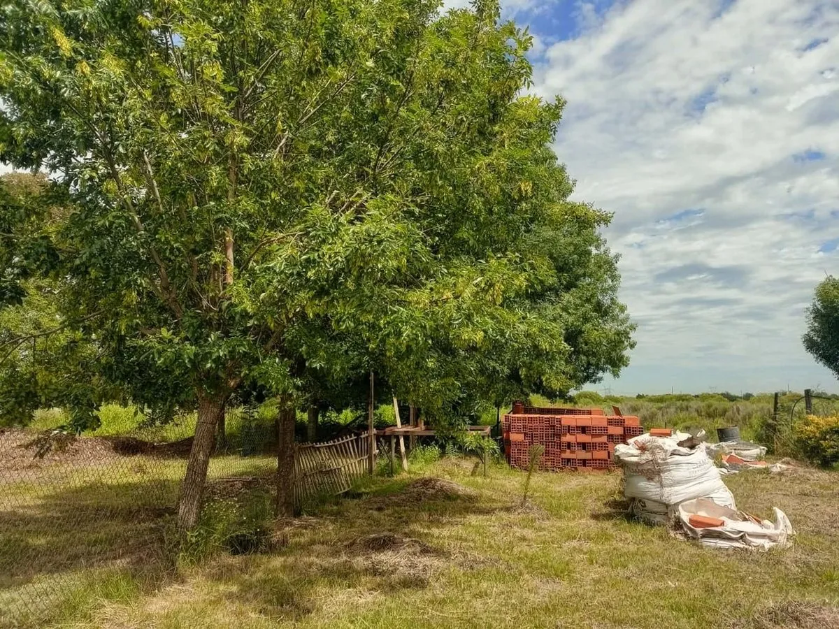 Lote en Bartolomé Mitre 1000