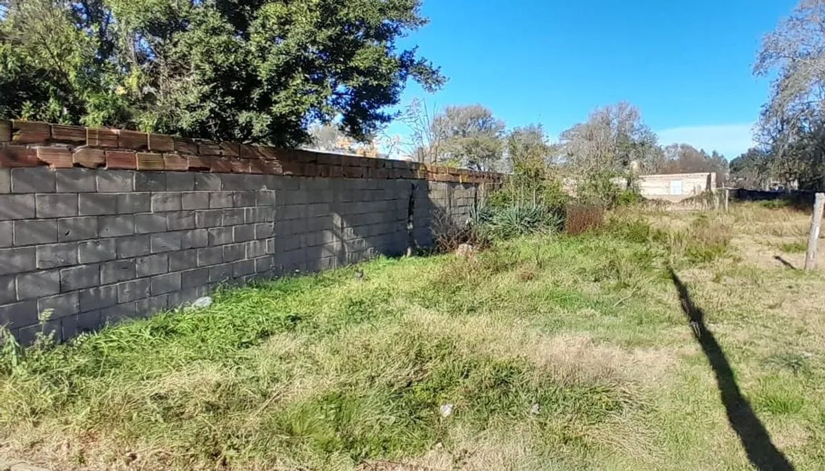 Lote en B. Mitre Entre Castex y Hernandez Lote 16 S/N