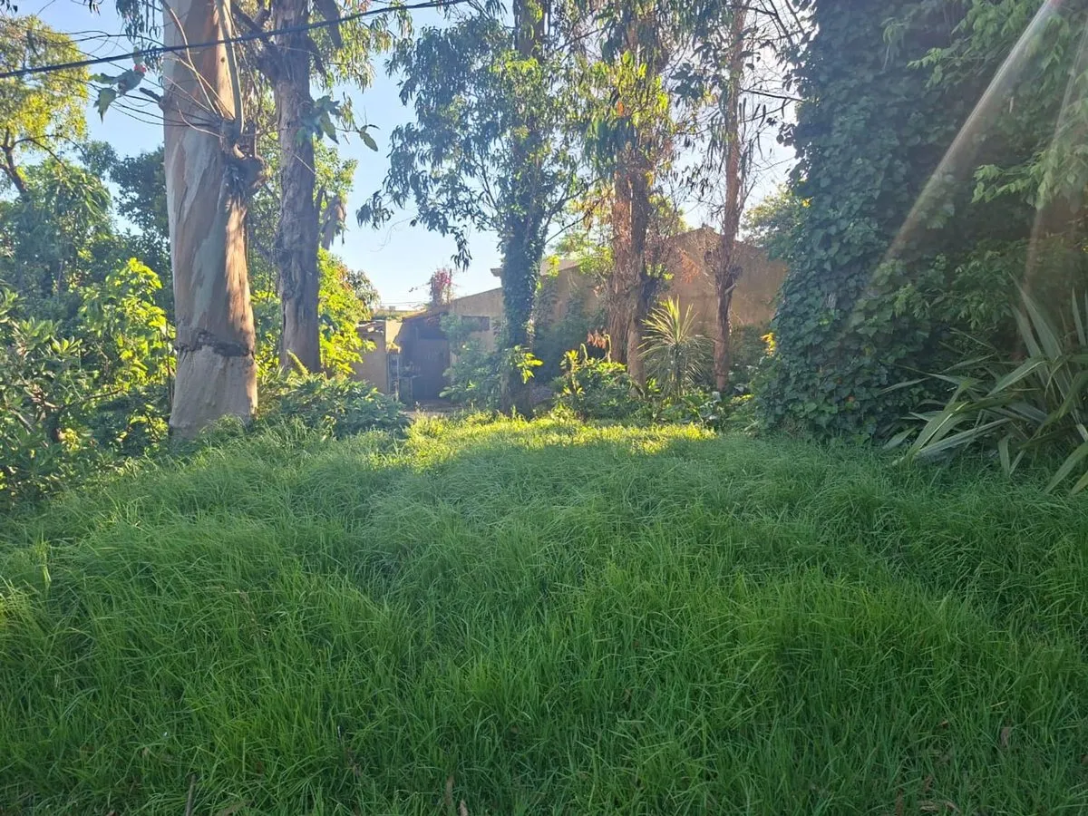 Lote en Piedra Buena y Mixto S/N