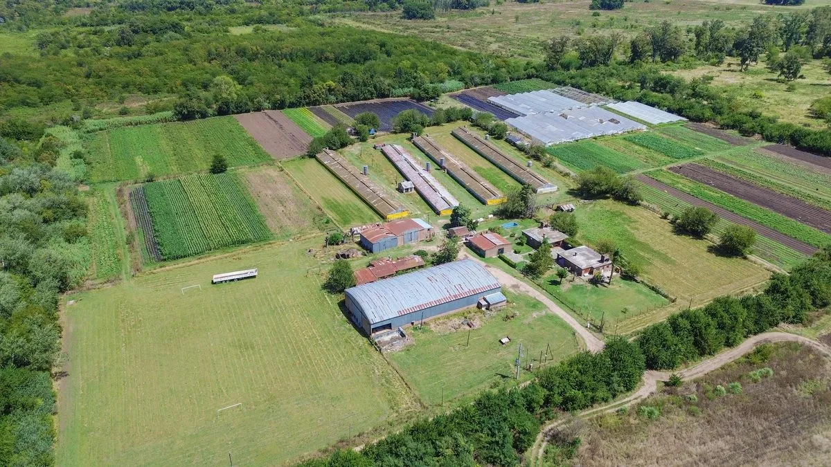 Campo en Río Atuel S/N