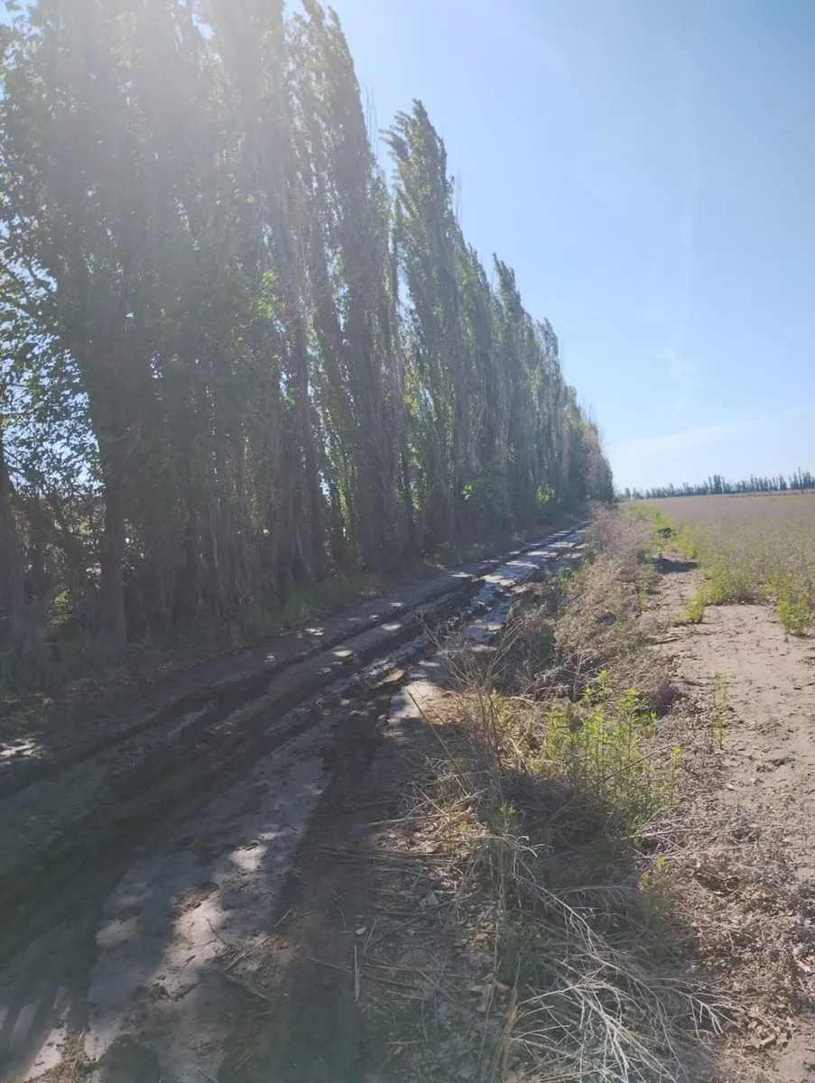 Lote en Los Pinos S/N