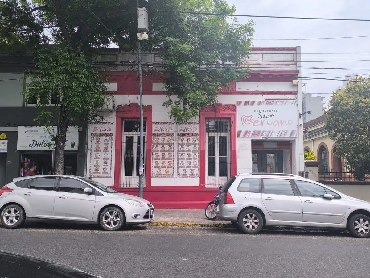 Lote en Leandro N. Alem 100