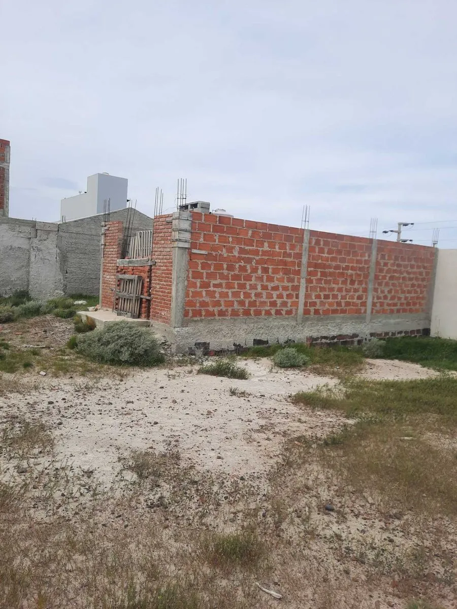 Lote en 2481 100
