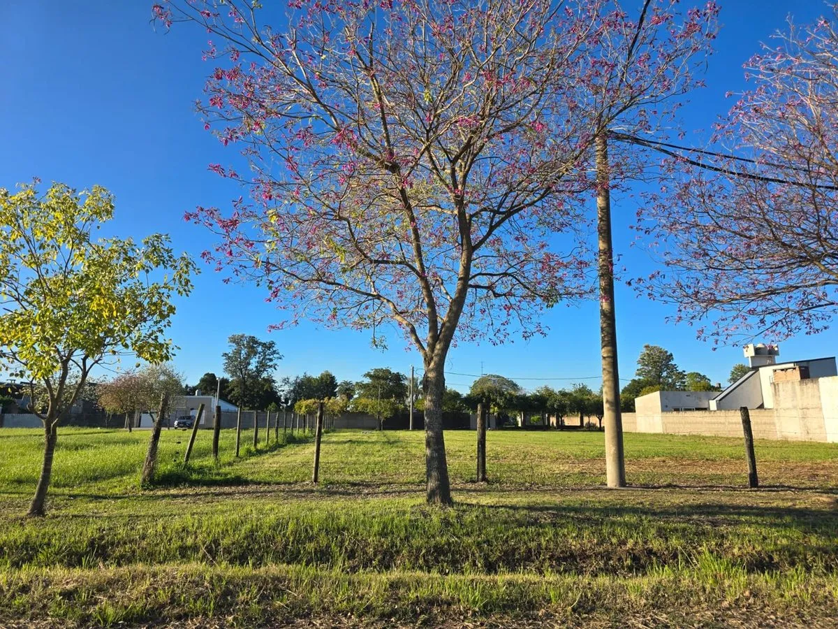Lote en Calle 41 (santa Fe) S/N