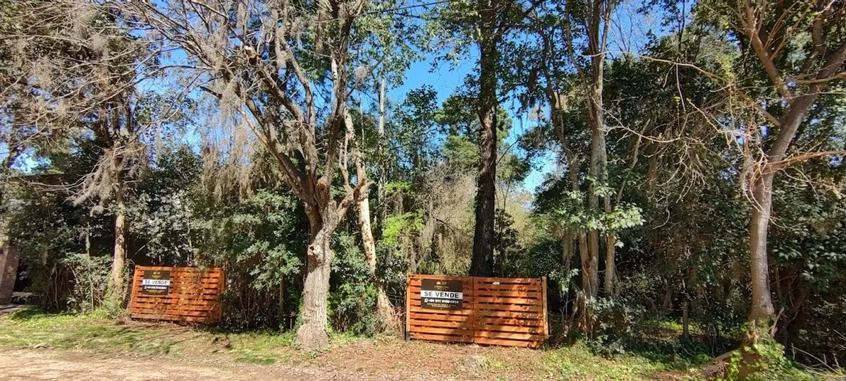 Lote en Corrientes 0