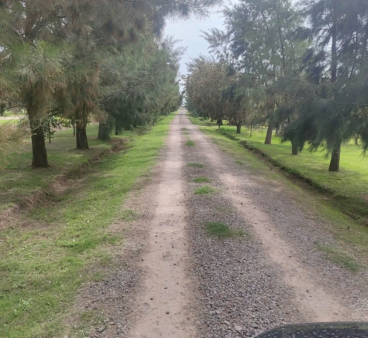 Lote en Calle Desconocida S/N