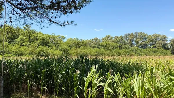 Campo en Dardo Rocha S/N