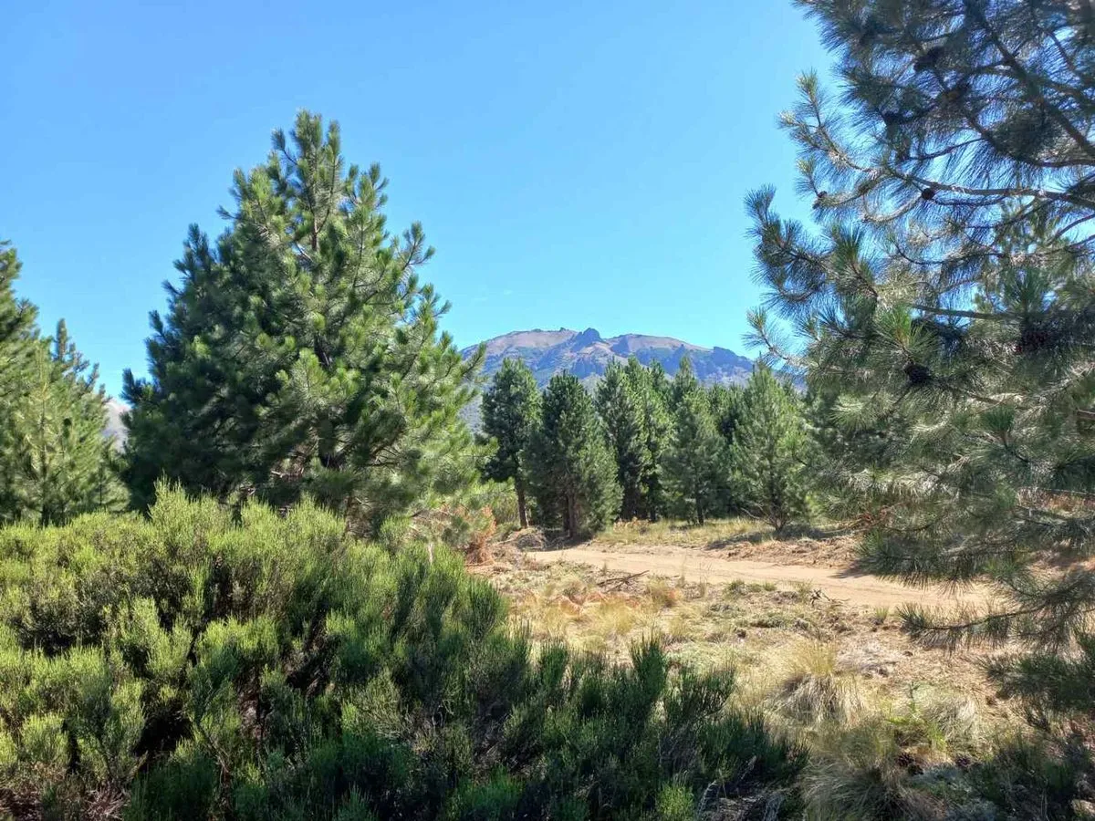 Lote en Acceso Al Challhuaco S/N
