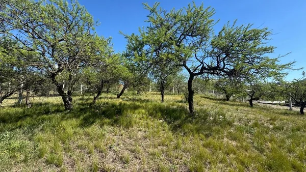 Lote en Rodríguez Peña 0