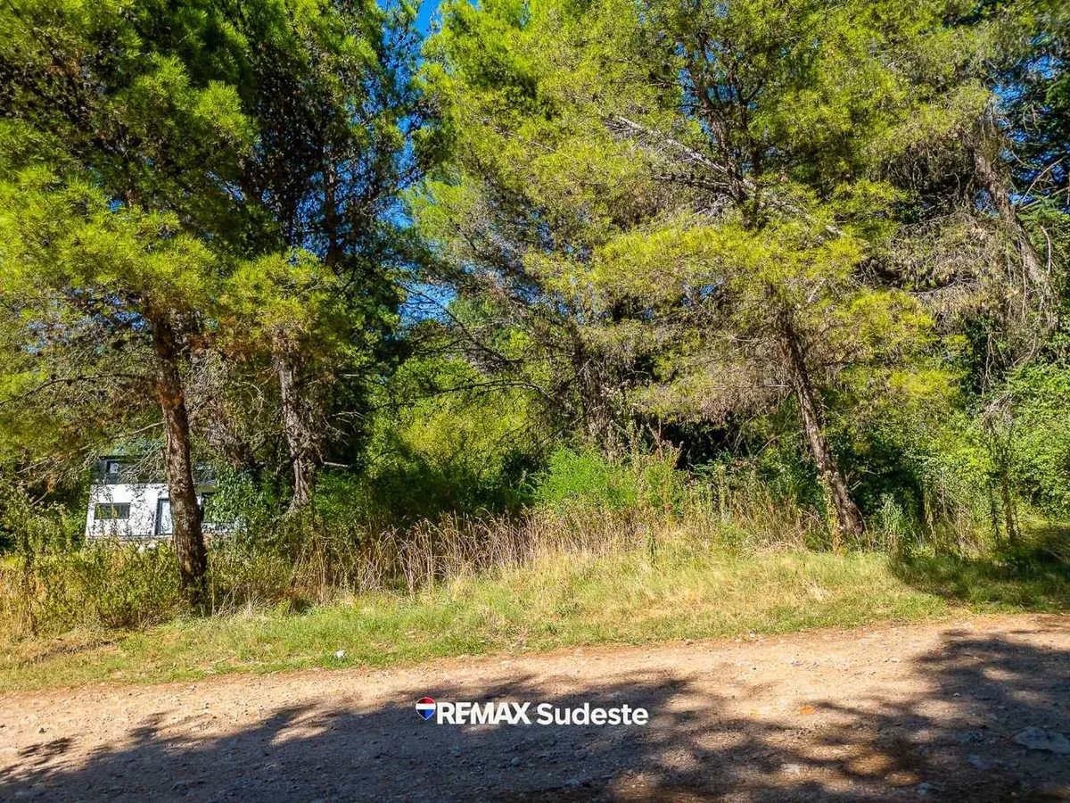 Lote en Gorrion 400