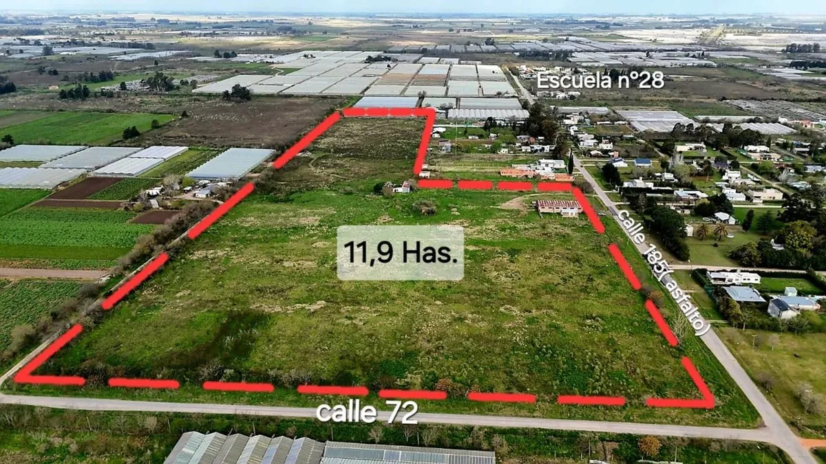 Campo en 185 y 72 S/N