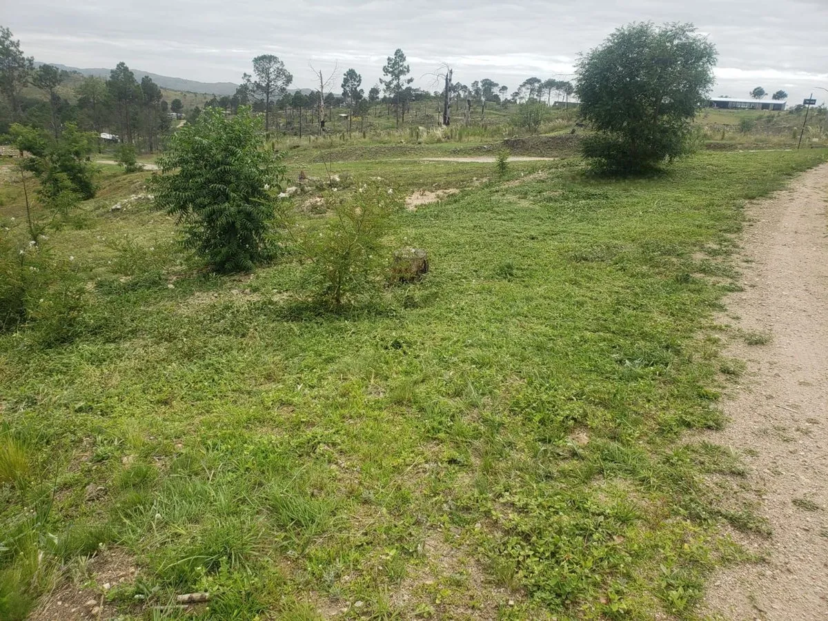 Lote en Ruta S271 0