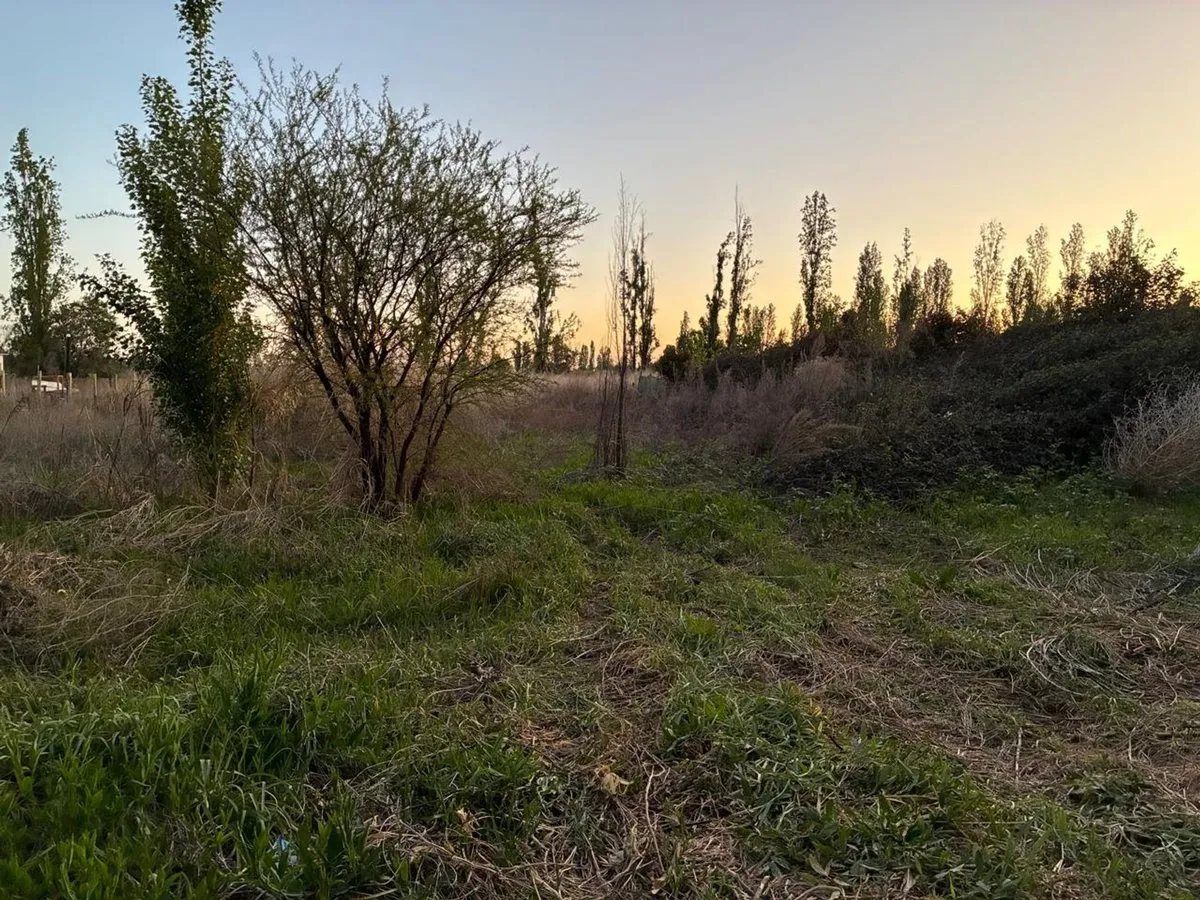 Lote en Castro Barros (callejón a Metros de Carril Roca) S/N