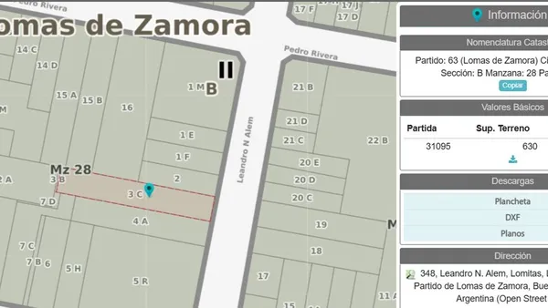 Lote en Leandro N. Alem 300