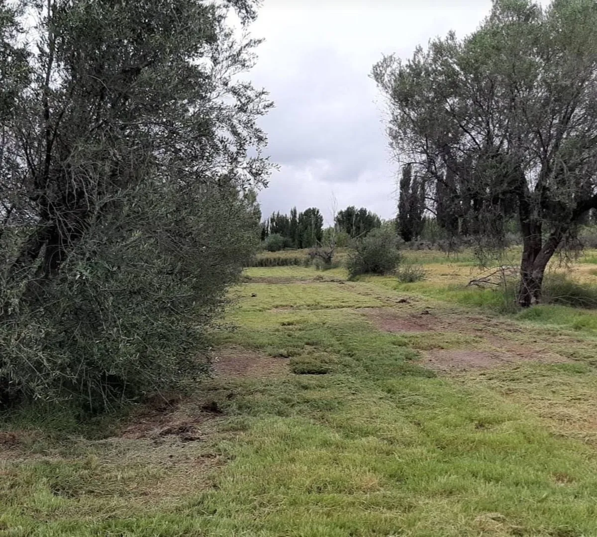 Lote en Nicolas Serpa 4800