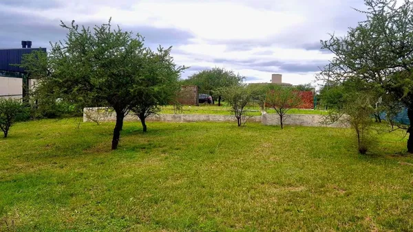 Lote en Monseñor Jesús Roldán S/N