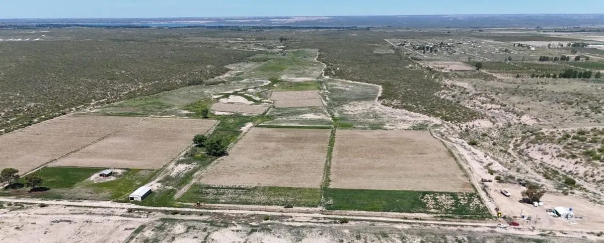 Campo en Publica S/n S/N