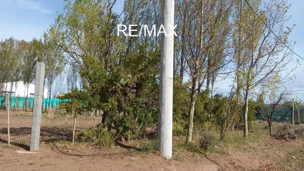 Lote en El Chocón S/N