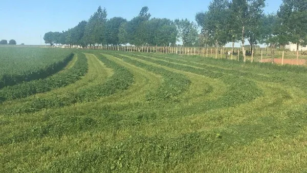 Campo en Ruta Nacional 9 Km 217 200