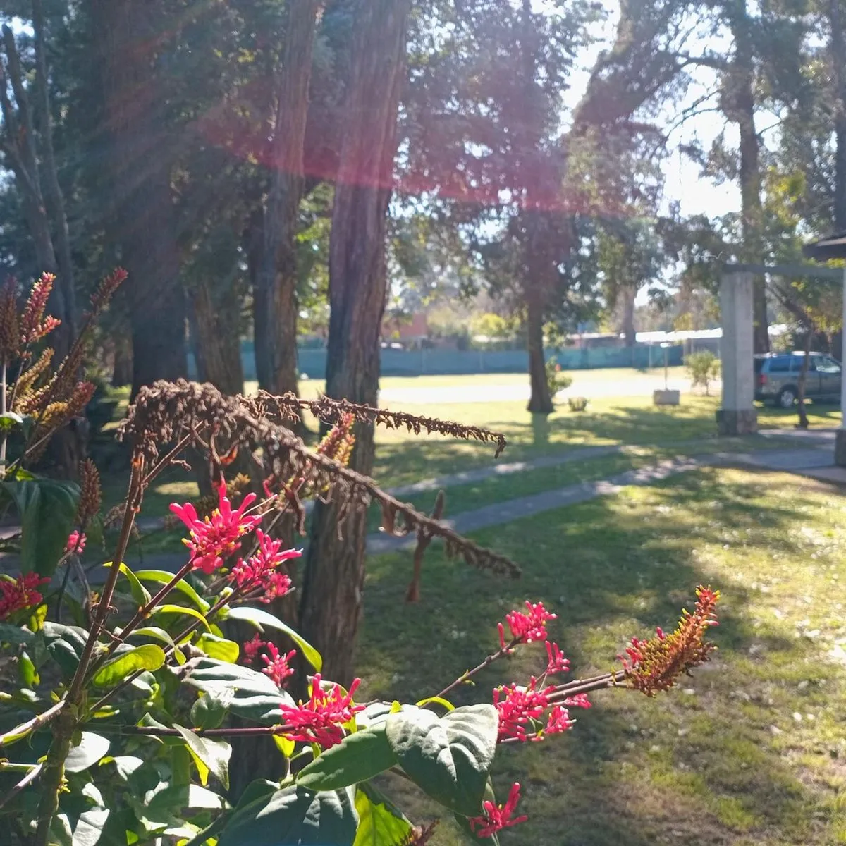 Lote en Gabriela Mistral 4600