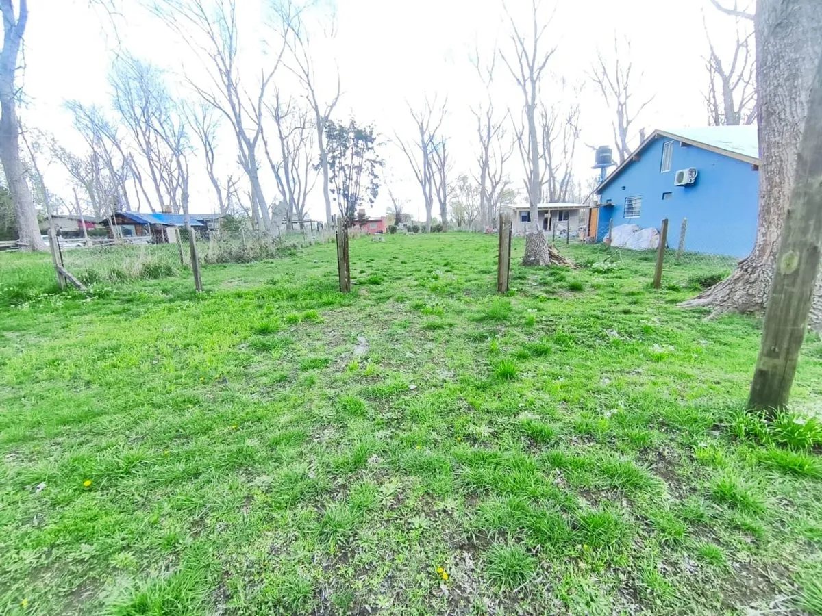 Lote en Las Lilas Entre Margaritas y Av 2 S/N