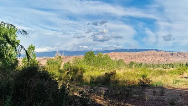Lote en Gualino y Huarpes, Lote 0